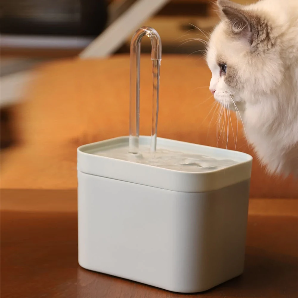 MagischePfoten™ Wasserbrunnen für Katzen
